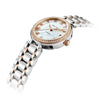 2024 Seagull Ladies Watch Automatic Mechanical Wristwatch Ultra-Thin Casual Simple Roman Holiday Sapphire Women Watch 816.417L