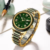 Diella Men Jade Watch Fashion Automatic Mechanical Sapphire Waterproof Luminous Watches Top Brand Genuine Jade Gold Watch