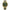 Diella Men Jade Watch Fashion Automatic Mechanical Sapphire Waterproof Luminous Watches Top Brand Genuine Jade Gold Watch
