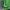 Luxury Brand Green Real Cowhide Genuine Leather Jacket Men Motorcycle Coat Mens Biker Clothes Spring Autumn Asian Size 5XL