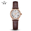 New 2024 Seagull Watch Retro Elegant Rome Women's Watch 27MM Small Dial Belt Ladies Mechanical Wristwatch reloj hombre 1046L