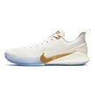 Nike Mamba Focus 