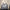 Stella New Women's Bag McCartney PVC Fabric Chain Bag European and American Fashion One Shoulder Oblique Straddle Handheld Tote