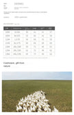 Thicked 100% pure cashmere sweater men  Winter   white bottom Warm Soft Navy Gray sweater loose thickened sweater